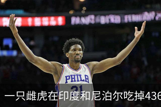 一只雌虎在印度和尼泊尔吃掉436人，成为杀人兽之最！原因竟是它的牙齿