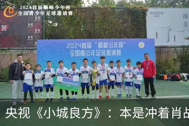央视《小城良方》：本是冲着肖战看得，却被40岁的女三号惊艳了！