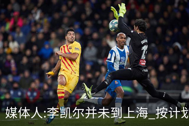 媒体人:李凯尔并未到上海 按计划能赶上世界杯