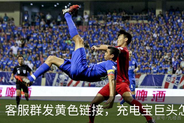 客服群发黄色链接，充电宝巨头怎么了？