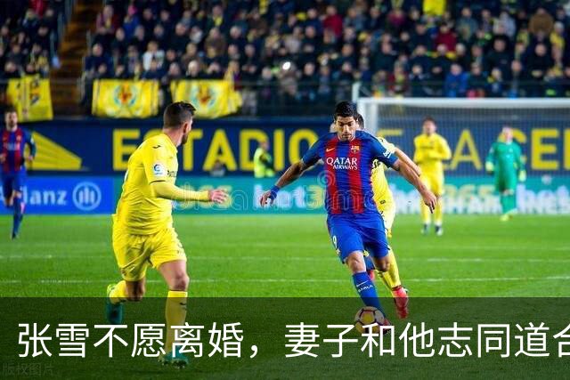 张雪不愿离婚，妻子和他志同道合共创业