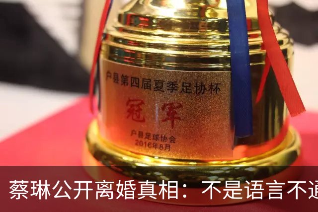 蔡琳公开离婚真相：不是语言不通，喜欢中国生活，自己开车去生娃