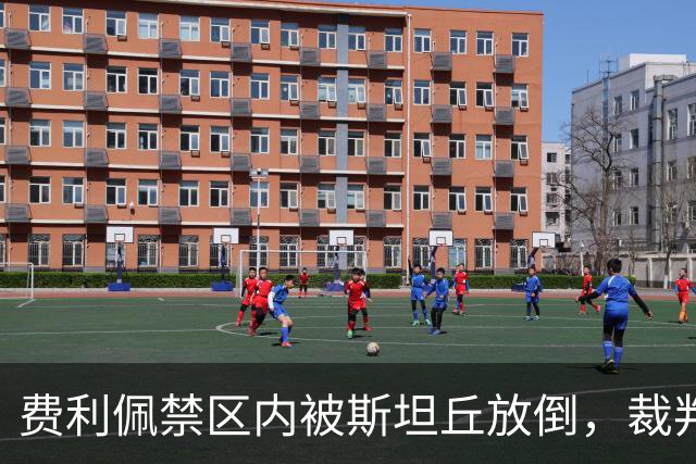 费利佩禁区内被斯坦丘放倒，裁判判罚点球！