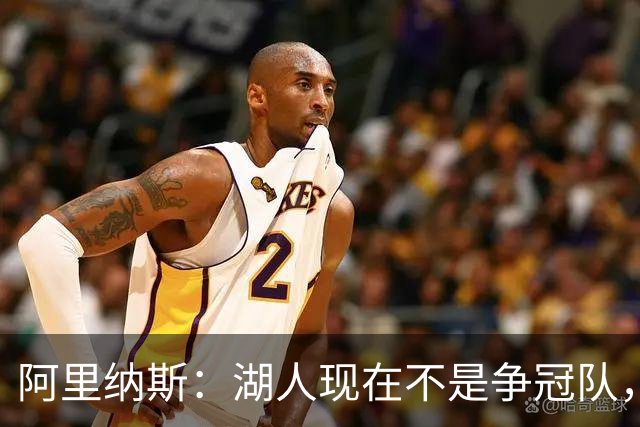 阿里纳斯：湖人现在不是争冠队，除非引进超巨否则只需微调