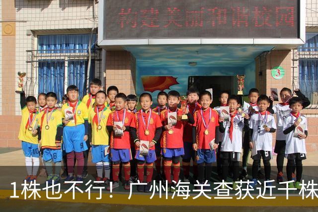 1株也不行！广州海关查获近千株盆栽，有625盆竟是“国宝级”植物