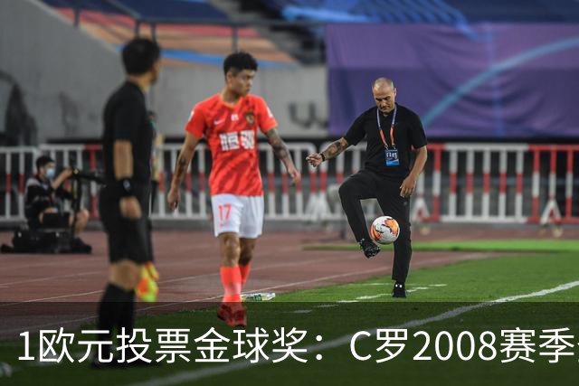 1欧元投票金球奖：C罗2008赛季登顶梅罗包揽前12名