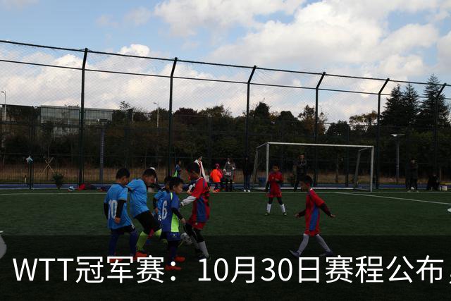 WTT冠军赛：10月30日赛程公布，国乒共出战6场，孙颖莎，王曼昱出战
